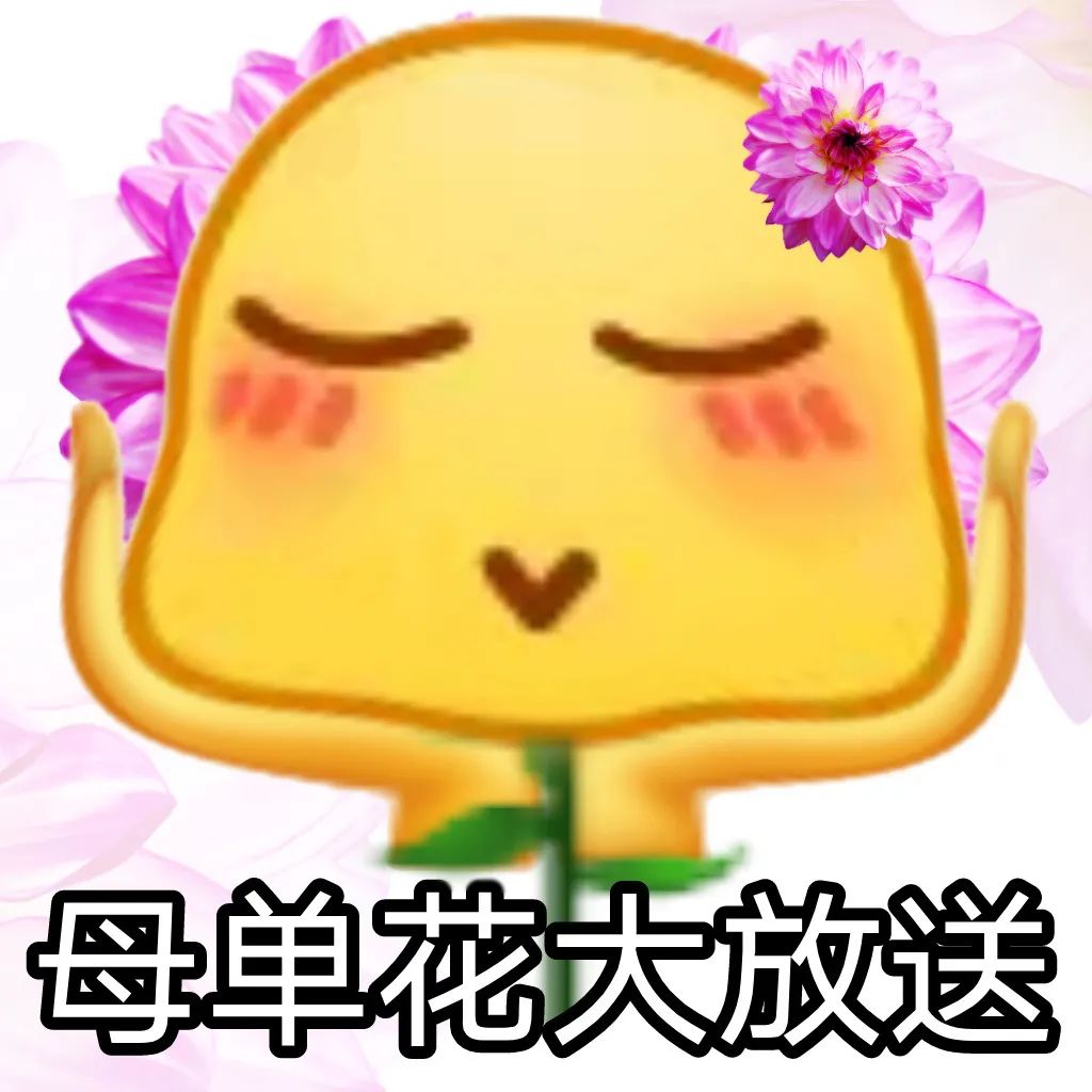 520情人节表情包