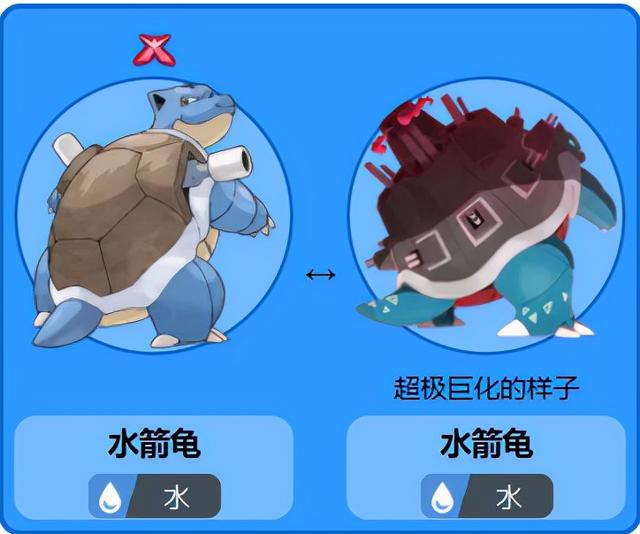 如何让水箭龟超进化，水箭龟各个世代的配招