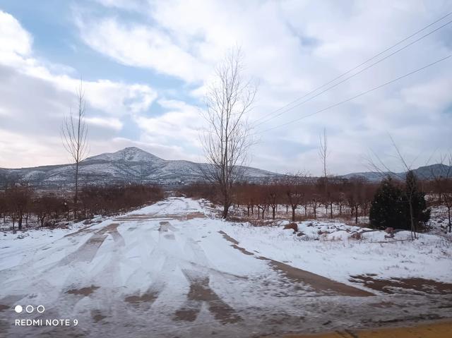 阅读理解的技巧和方法，阅读理解的技巧和方法有哪些（读《高效阅读》分享五种阅读方法）