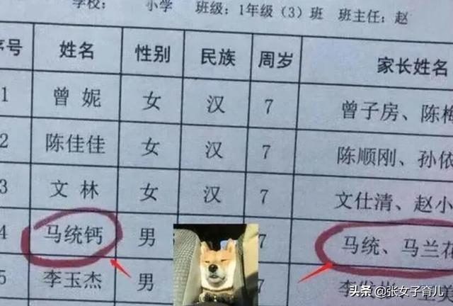 好听的三个字网名，好听的三个字网名有哪些（这是我见过最简单的名字）
