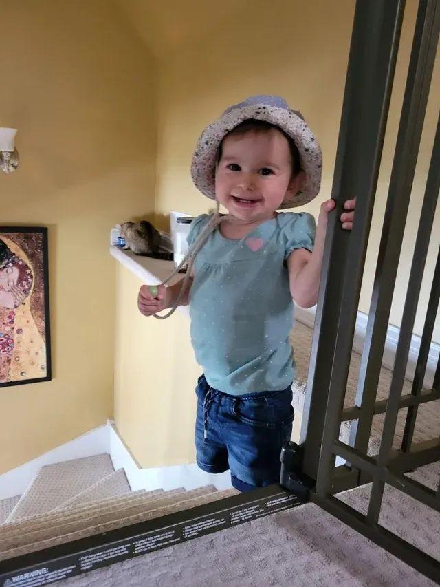 倒过来看很恶心的图，恐怖图片（这些迷惑性超强的错觉照片）