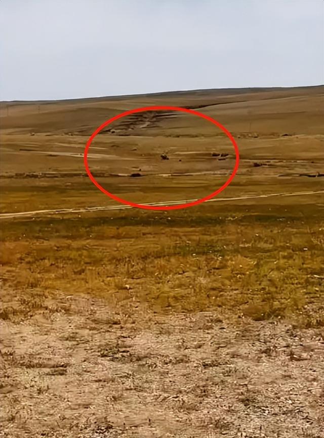 彪悍的蒙古汉子，蒙古人、维京人、萨摩亚人——哪个最强悍（202公里配送费584元）