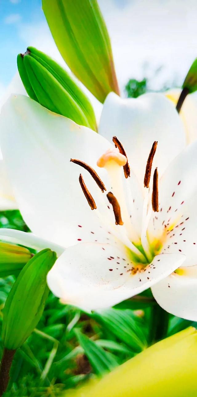 努力的意义是什么，努力的意义是什么图片（女人努力的意义是什么）