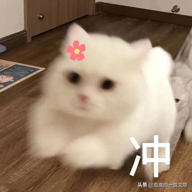 只要七步就能让男生全方位地变帅，改造自己！帅哥快看过来