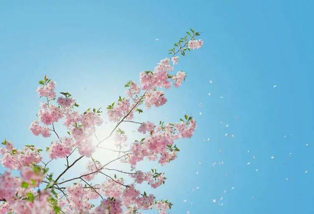 兔年宝宝取名最佳用字，兔年宝宝取名宜用字（适合兔年宝宝的名字）