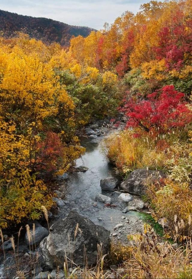 秋天是一个什么样的季节，秋天是一个什么样的季节写一段话（分享绝美秋色：叠翠流金）
