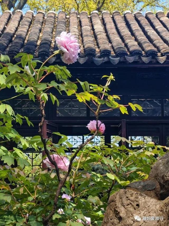 苏州山塘街攻略，苏州山塘街美食最强攻略（周末轻松苏州游）