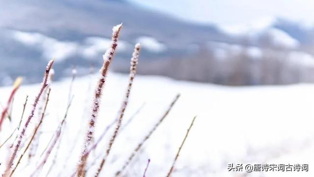 古人对雪的雅称，古人雪的称呼（品读雪的那些美称）
