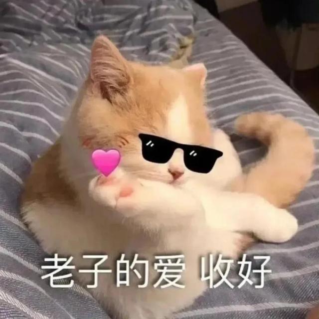 萌宠表情包，微信头像，萌宠表情包（萌宠表情包：我的爱是垃圾吗）