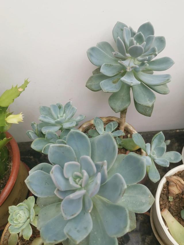 有哪些好听的网名，好看又好听的网名400个（都是些什么名字呢）