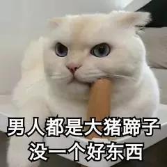 大猪蹄子什么梗，为什么男人被称为“大猪蹄子”