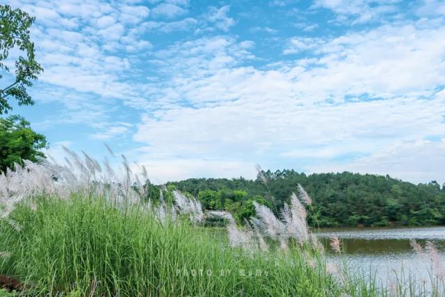 距离成都2小时小众的露营基地，成都近郊9个小众徒步露营耍水地