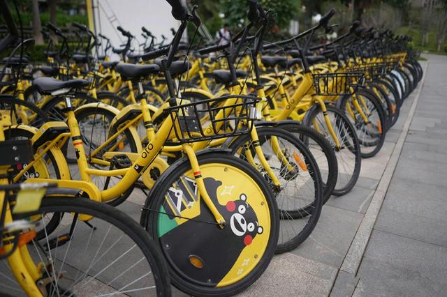 ofo共享单车，ofo小黄车为何处于现在这种地步（目前客户已收不到验证码）