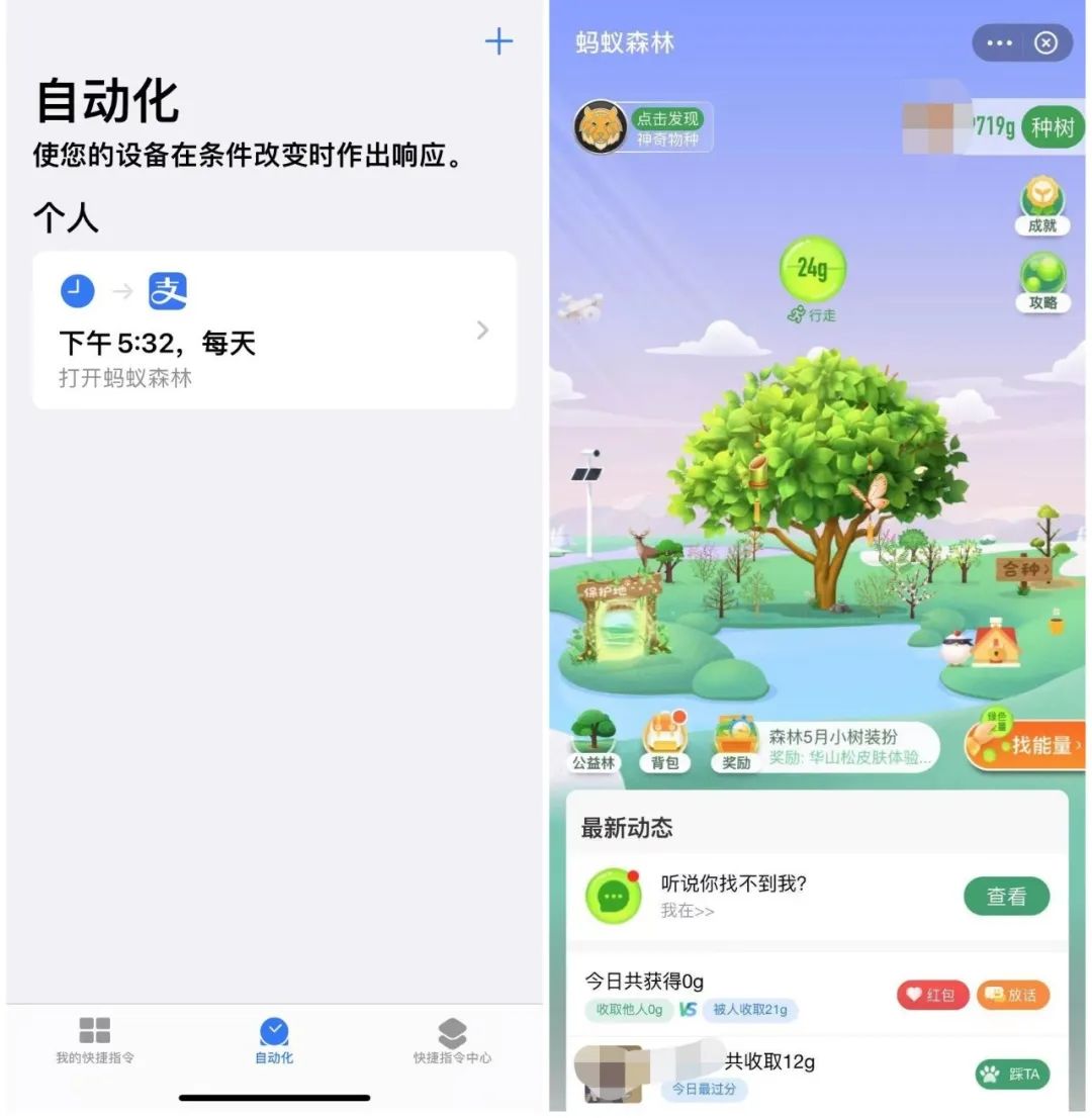 支付宝蚂蚁森林(蚂蚁森林互加好友群500人)