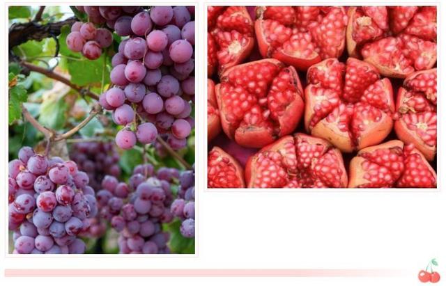 西安有哪些特色水果，陕西特色水果（水果在西安也有“盛唐气象”）