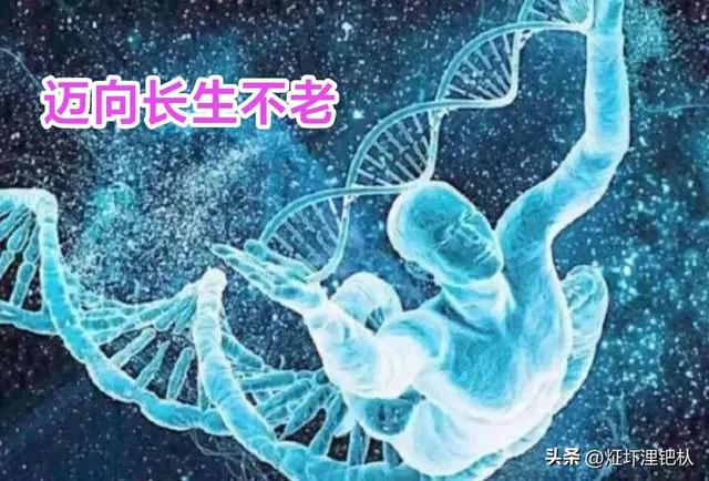 十大未来预言汇总，世纪之末10大预言