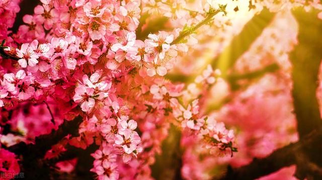 以忽略为话题的作文，不该忽略的小错误作文600字（初中生原创优秀作文——被忽略的美好）