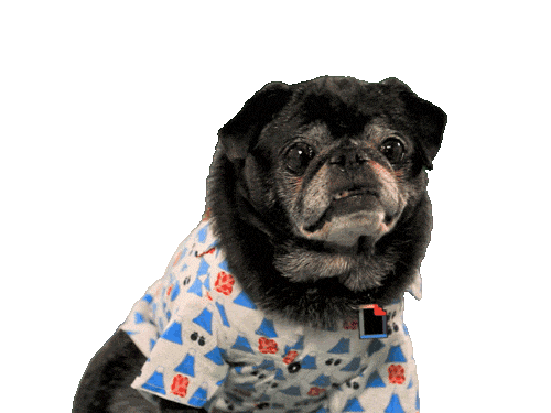 ps动图制作教程，如何用ps做动图（图片转gif在线制作方法）