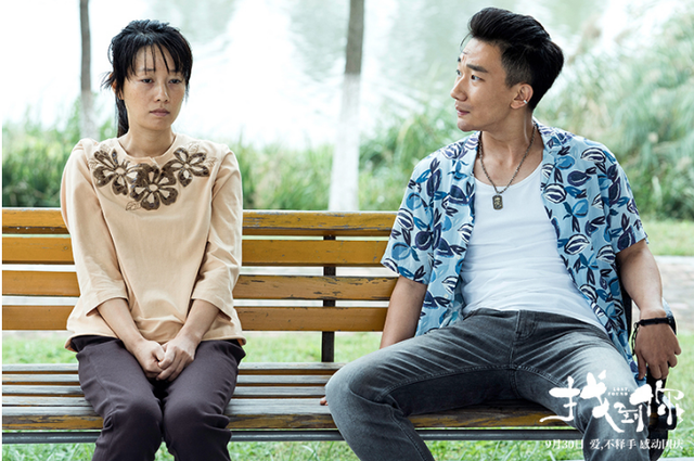 文章主演的电视剧，文章主演的电视剧大全集（人生差距一个天一个地）