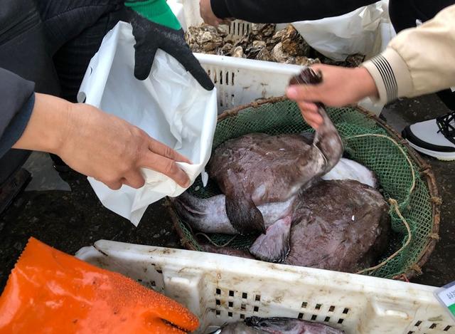 黑角安康鱼，专挑这5种鱼（安康鱼是哪里的鱼）