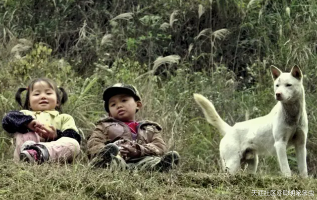 江湖奇兵大结局，江湖奇案结局（一个从山村到城市的社会记忆）