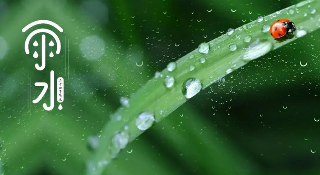 雨水节气的古诗，关于雨水节气的诗句有哪些（<三春六节气诗词颂>）