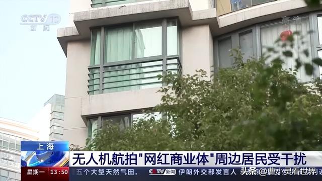 企鹅会飞吗，帝王企鹅会飞吗（发生了无人机拦截无人机的事情）