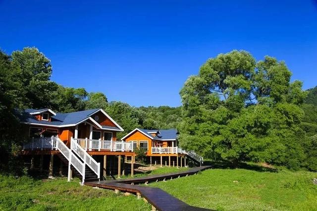 陇南有什么好玩的地方，陇南有哪些地方好玩（陇南这6处超好玩的宝藏打卡地）