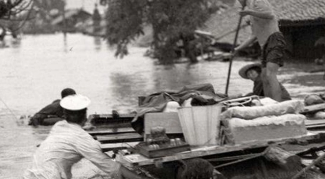 十猪九苦1983，十猪九苦1983是什么意思（深扒1983年蛇灾始末）