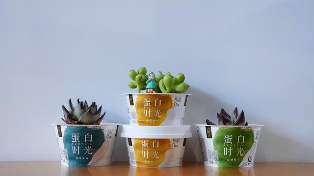 伊利酸奶，中国首款“零碳酸奶”来了（伊利酸奶的功效与作用）