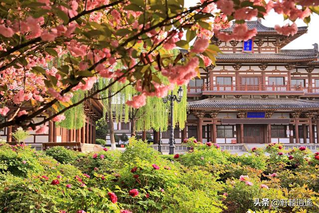 西安清净的寺庙，西安闻名遐迩的十大佛教寺院