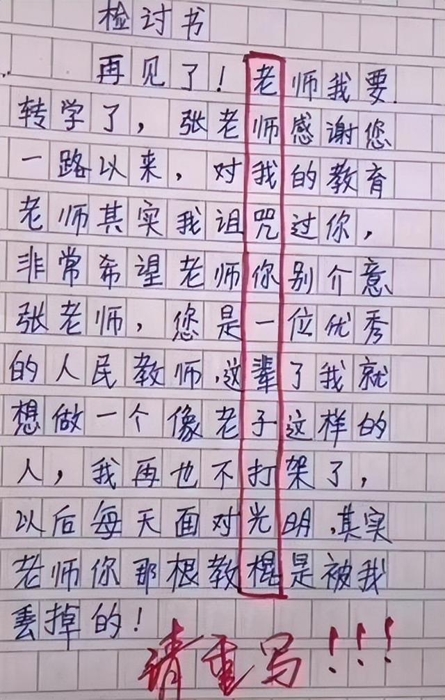 检讨书的正确格式图片，检讨书怎么写（小学生藏头诗式检讨书）