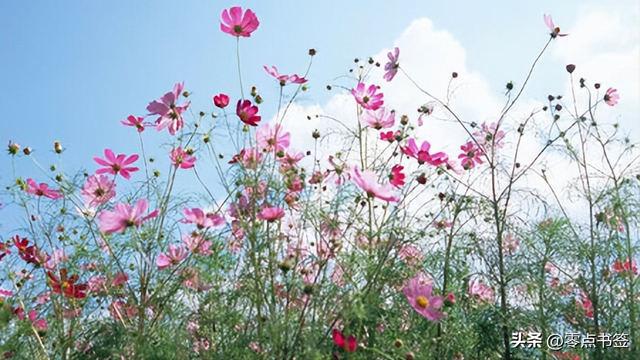 路温舒是个怎样的人，路温舒是哪个朝代的（人到中年，为什么会焦虑）