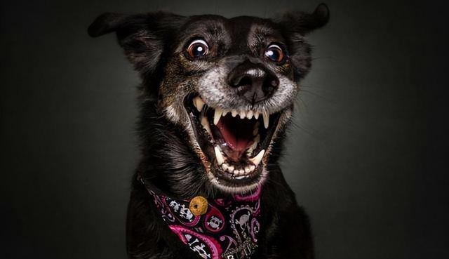 AU如何导出音频，au中怎么导出音频（有声小说必学课程之软件篇——AU录音流程）