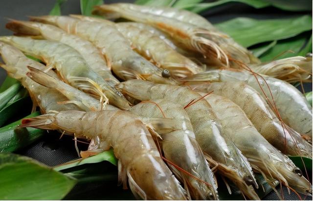 潢川特色餐馆推荐，潢川美食有哪些（这几种信阳土特产闻名全国）