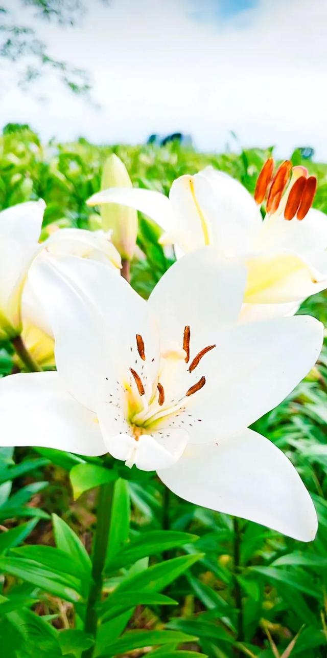 努力的意义是什么，努力的意义是什么图片（女人努力的意义是什么）