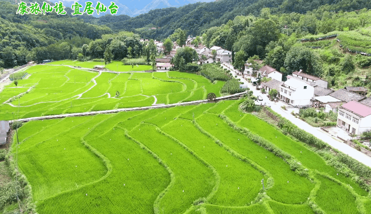 汉中旅游景点排名推荐，汉中旅游景点大全排名榜（在汉中一年四季可以这样玩 →）