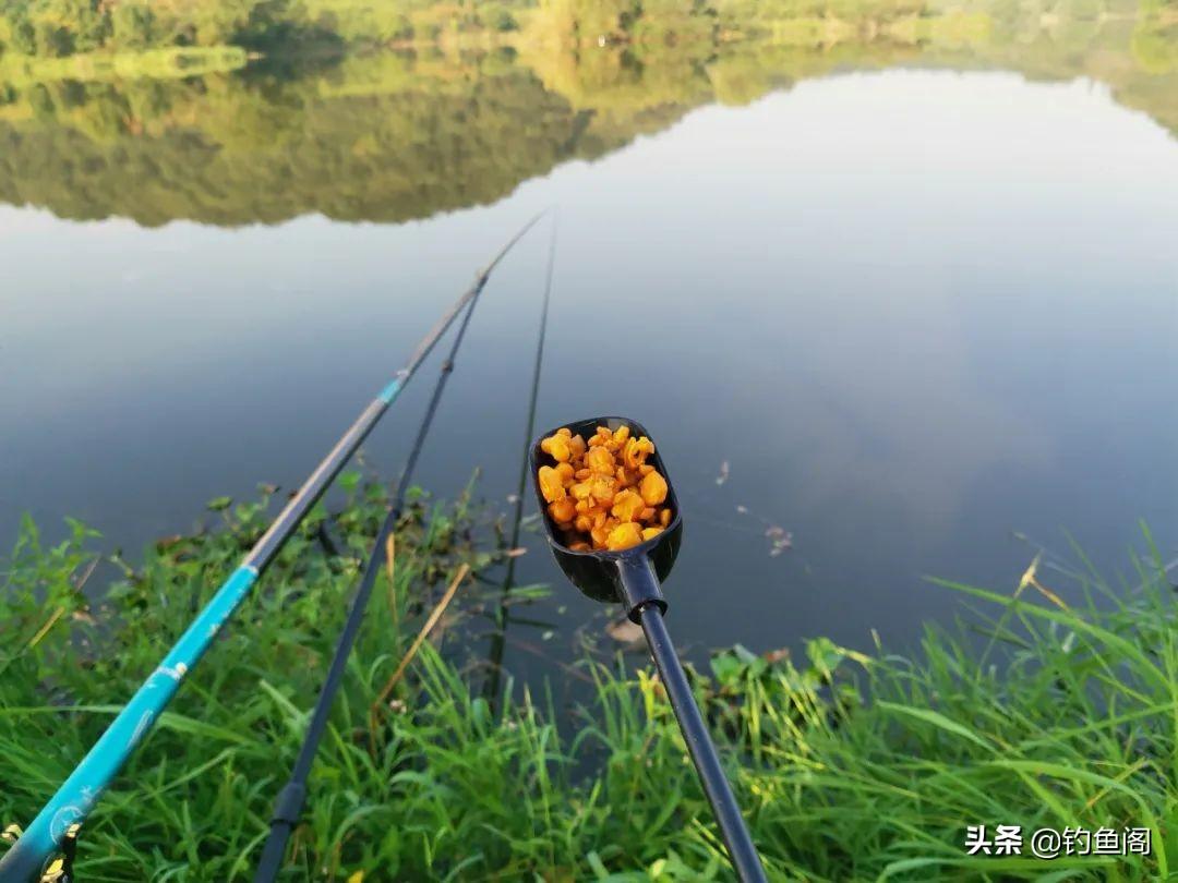 四种玉米钓法揭秘：草鱼到底该钓底还是钓浮？实战技巧全解析