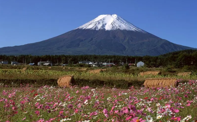 富士山在日本哪里，日本富士山在日本的位置（富士山喷发进入倒计时）