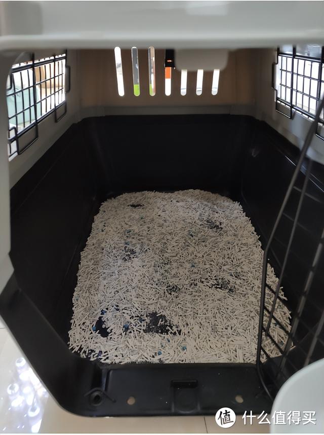飞机托运收费多少钱一斤，飞机托运收费多少钱一斤2021（可能是全网最全的宠物航空托运攻略）