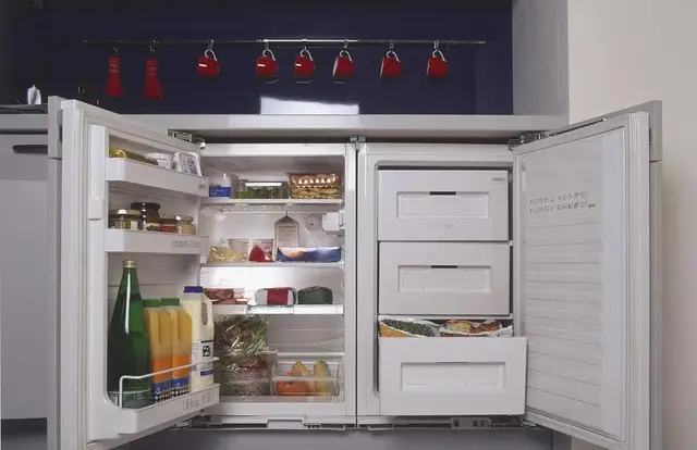 变频冰箱是什么意思，变频冰箱压缩机不启动修理方法（人生第一次体验变频冰箱）