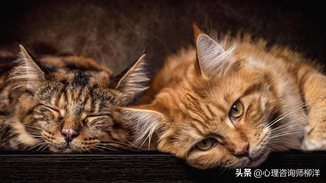 上班恐惧症怎么治，上班恐惧症怎么克服（早上很累想跟领导申请居家办公时的内心恐惧）