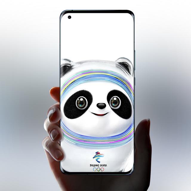 冰墩墩都有什么样的，冰墩墩高清壁纸（关于冰墩墩的介绍）