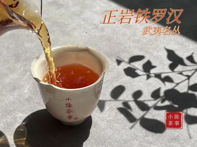 武夷岩茶之马头岩九龙窠肉桂，武夷岩茶入门