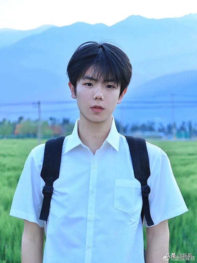 扑棱蛾子是什么梗，扑棱蛾子是什么梗贝斯（听说他换头是靠p的）