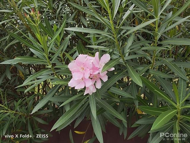 八英寸等于多少厘米，十英寸等于多少厘米长度（Fold+全面评测）