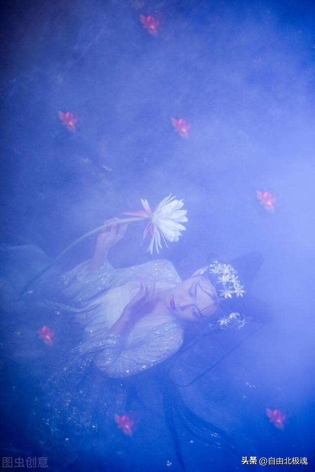 南柯一梦的故事，南柯一梦中的南柯指的是什么（南柯一梦）