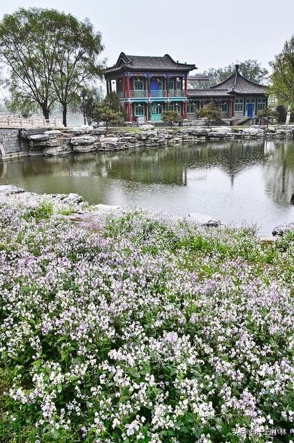 云冈石窟门票多少钱，云冈石窟门票优惠政策（去年国庆假期的“薅羊毛”之旅）