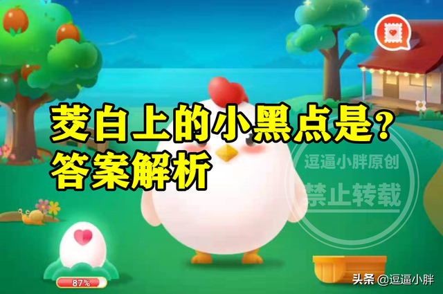 茭白有黑点能吃吗，茭白里面有黑色的小点能吃吗（蚂蚁新村茭白上的小黑点答案）
