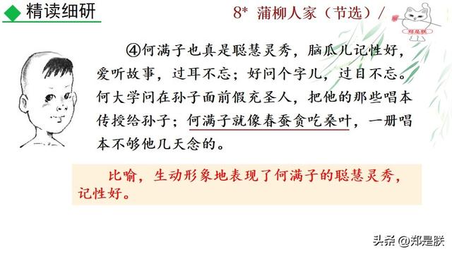 形容人物性格的词语，形容人性格的词语（蒲柳人家.刘绍棠.课文+诵读·+课件+知识点）
